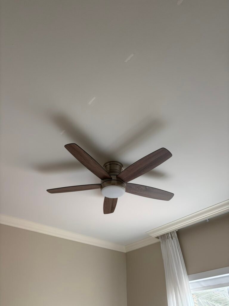 img 1733